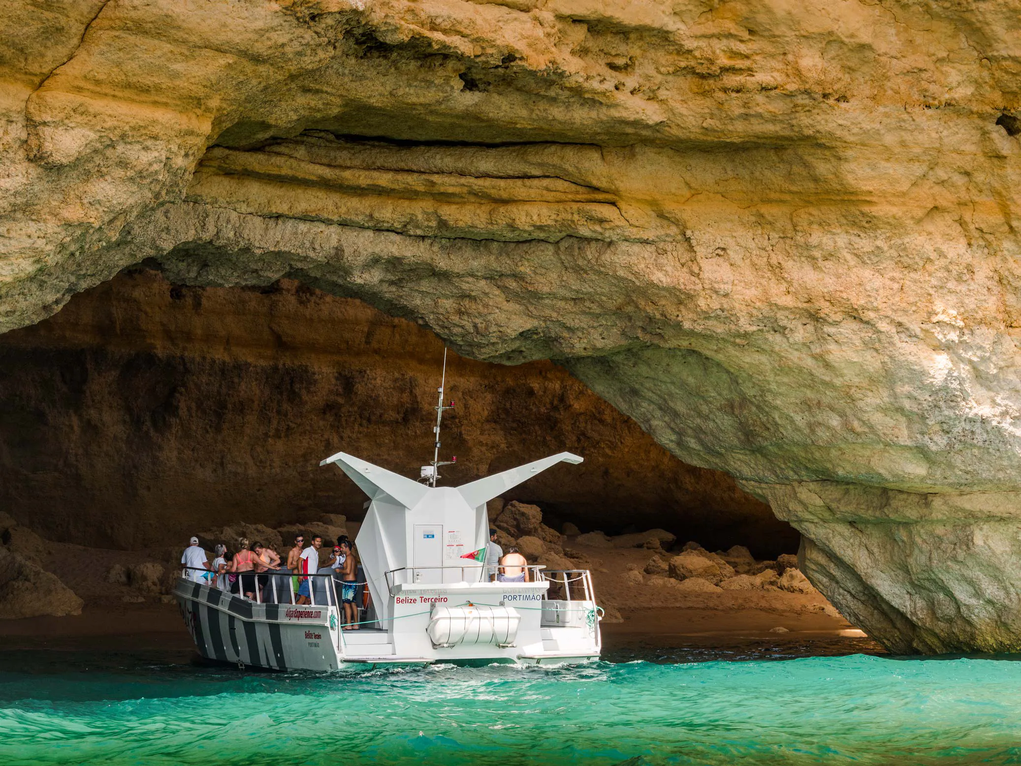 Dolphins, Caves & Coastline Image