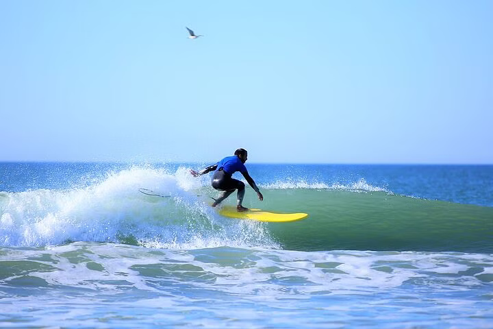 Surf Lesson for Beginners Image