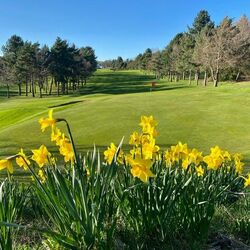 Quinta do Lago 5 Nights 3 Rounds Image