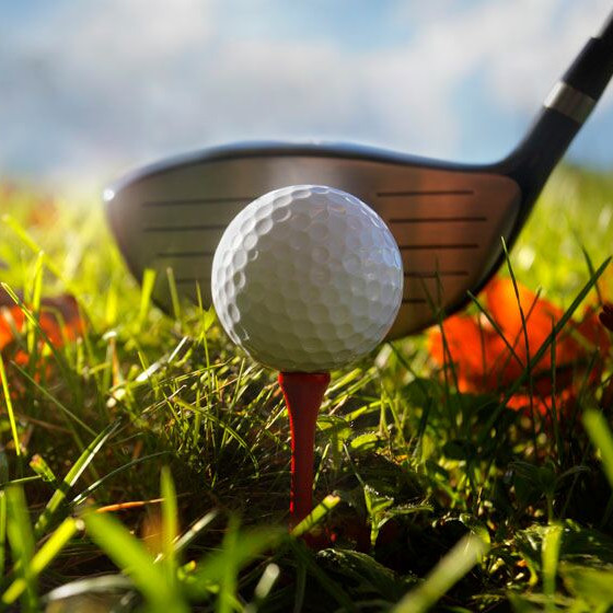 7 Nights All-Inclusive + 5 Rounds Image
