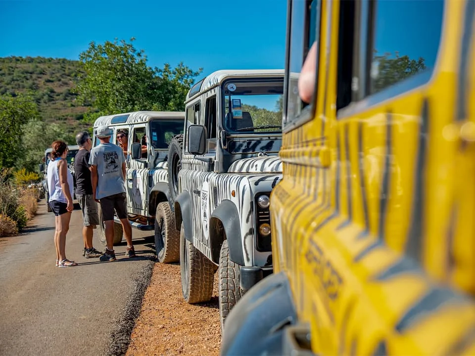 Zebra Safari Tours Image